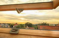 rated Sway roof window companies